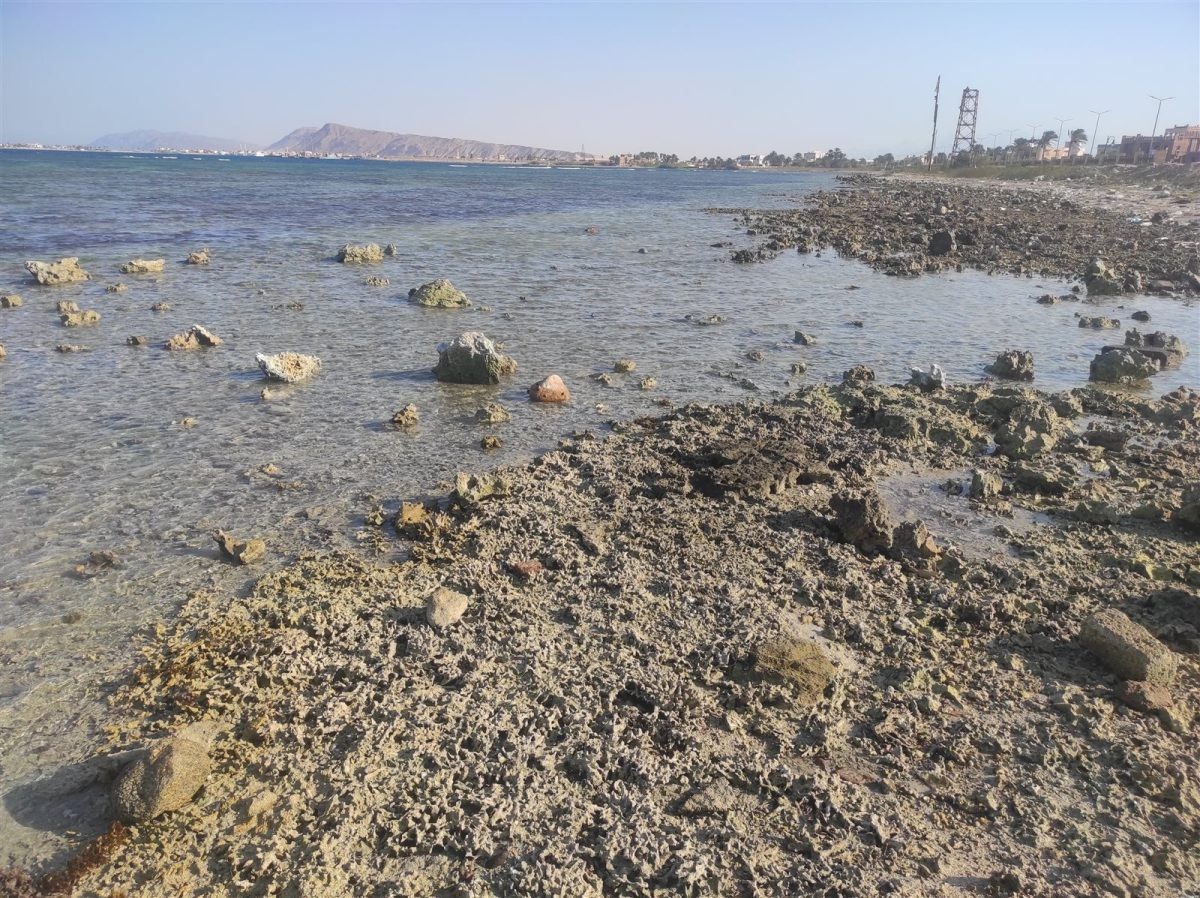إنحسار مياة الشواطىء