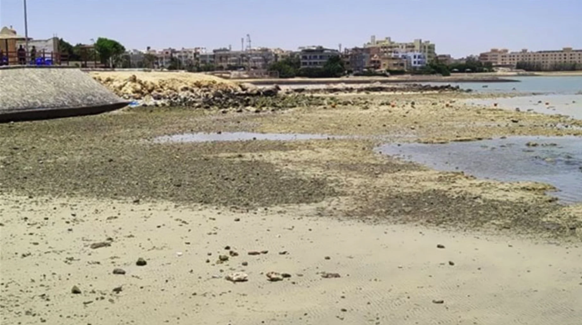إنحسار مياة الشواطىء