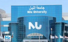 جامعة النيل