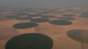 الدلتا الجديدة 