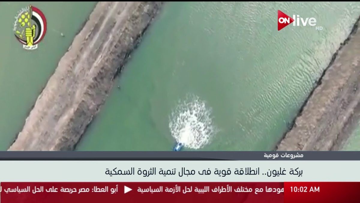 بركة غليون