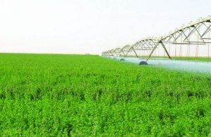 محطة المغرة للزراعة الآلية