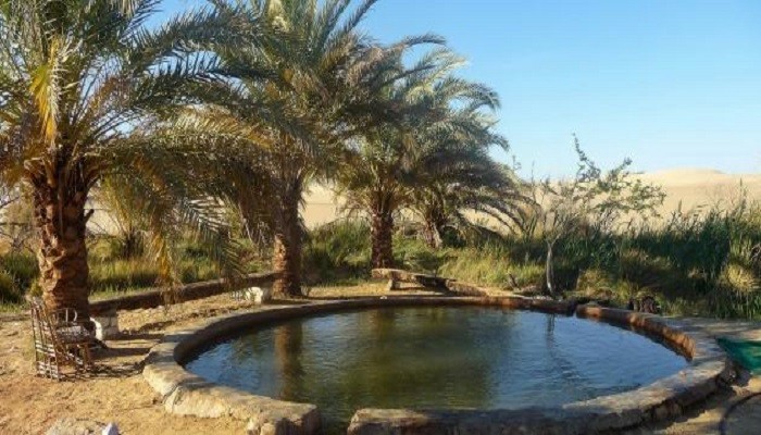 واحات