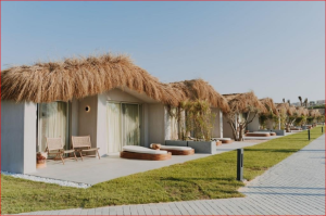 شركة عقارية 3