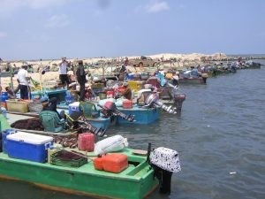 بحيرة البردويل