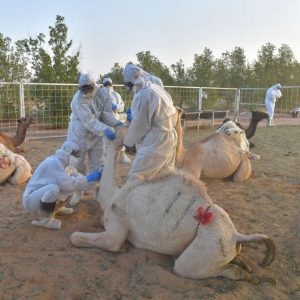 متلازمة الشرق الأوسط التنفسية (MERS)