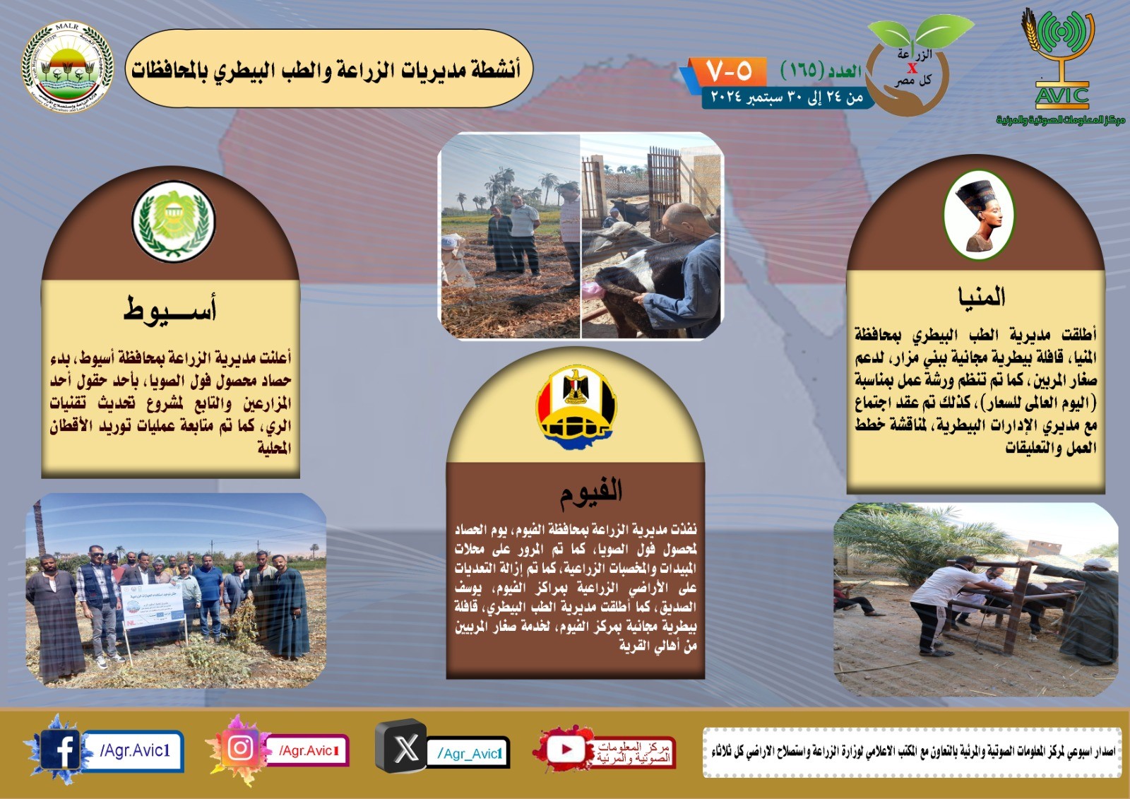 الزراعة