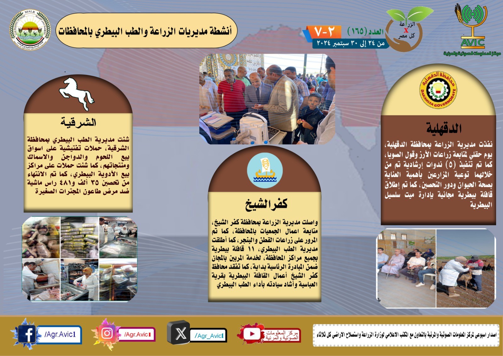 الزراعة 