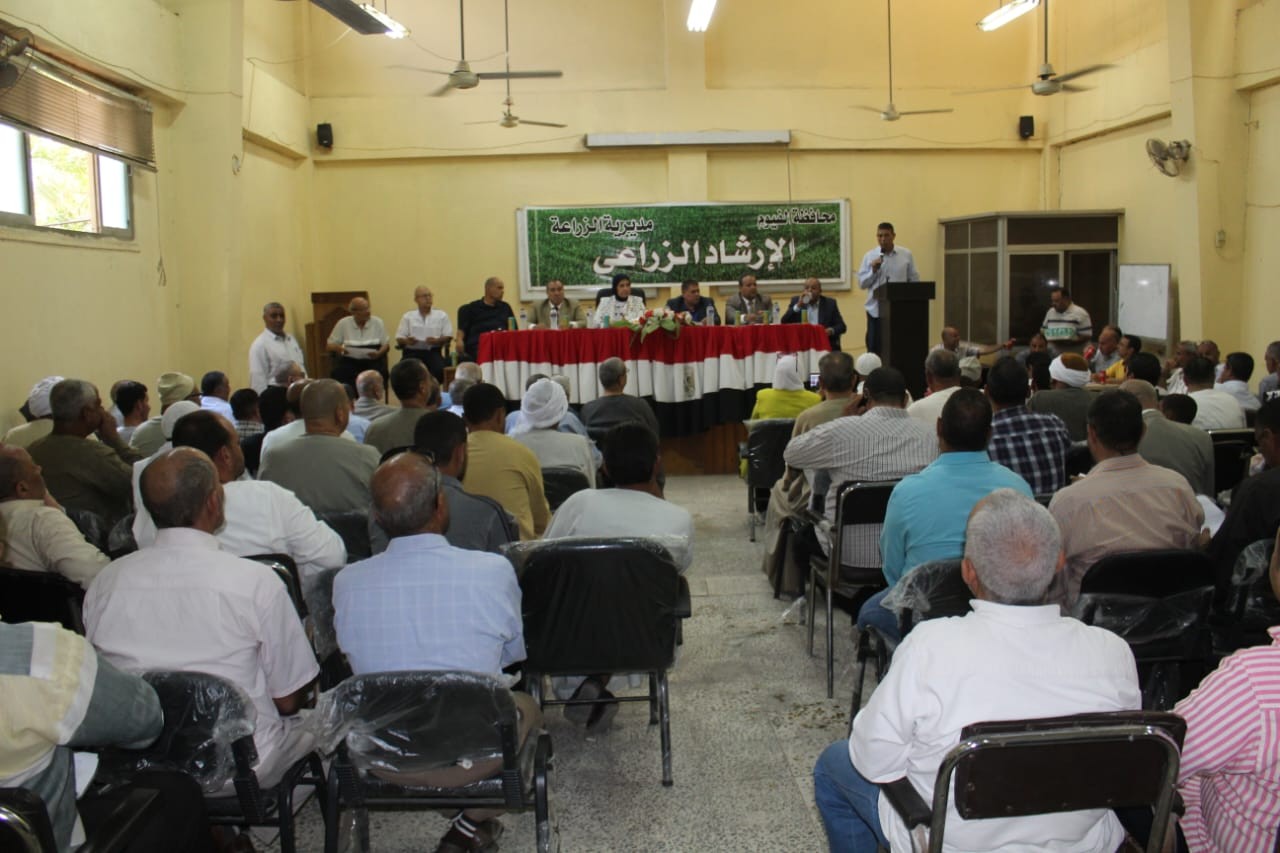 مزاد القطن