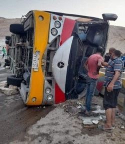 اتوبيس العين السخنة