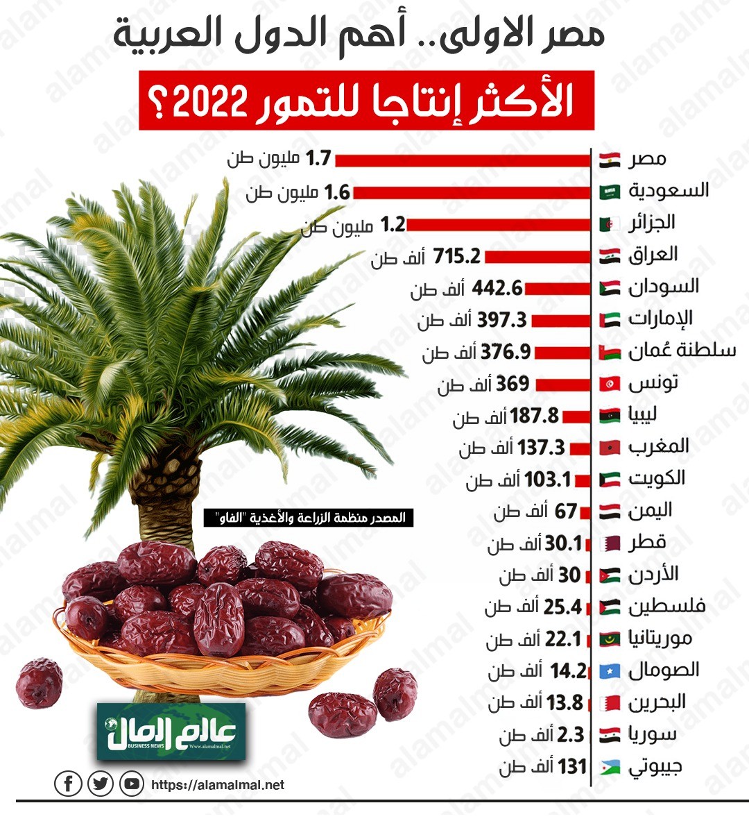 مصر الأولى فى انتاج التمور
