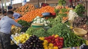 محاصيل الخضر.. صورة أرشيفية