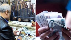 معاشات يناير 2025