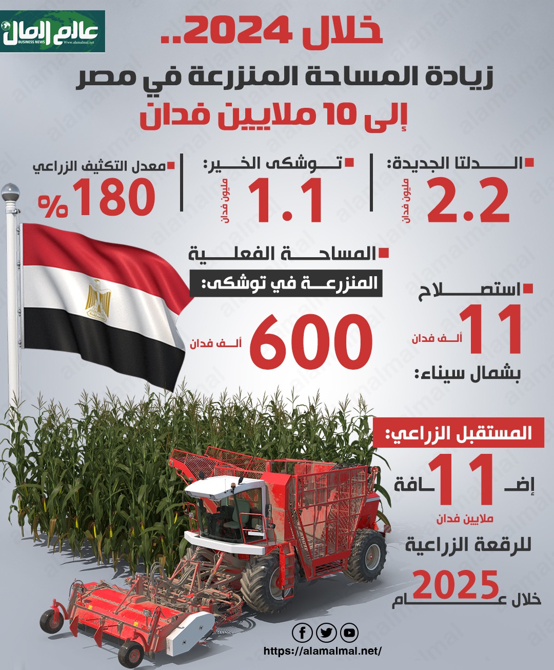 زيادة المساحة المنزرعة 