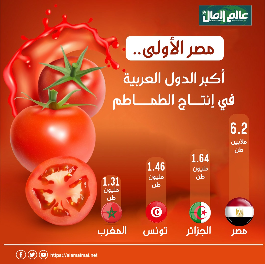 مصر من أكبر الدول إنتاجًا للطماطم