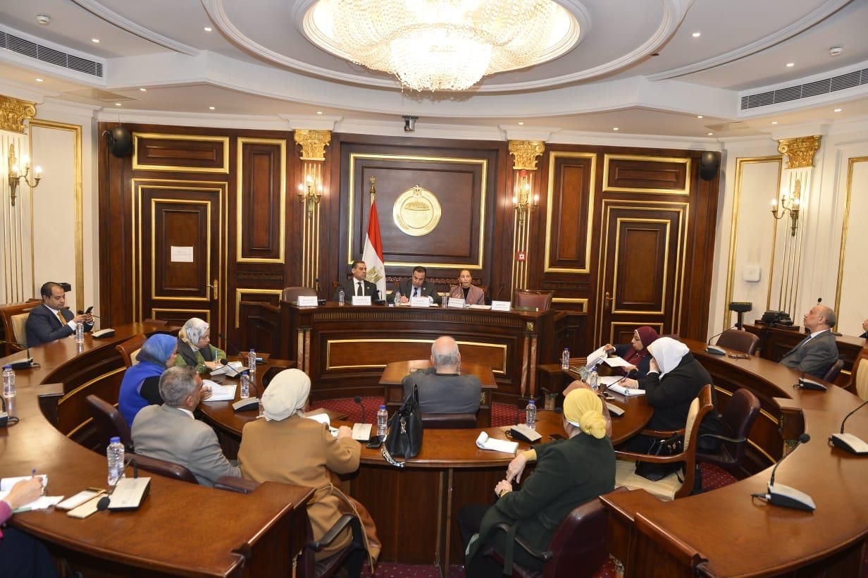 جامعة مصر للمعلوماتية 1