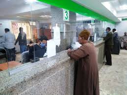 معاشات يناير 2025