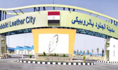 مدينة الجلود