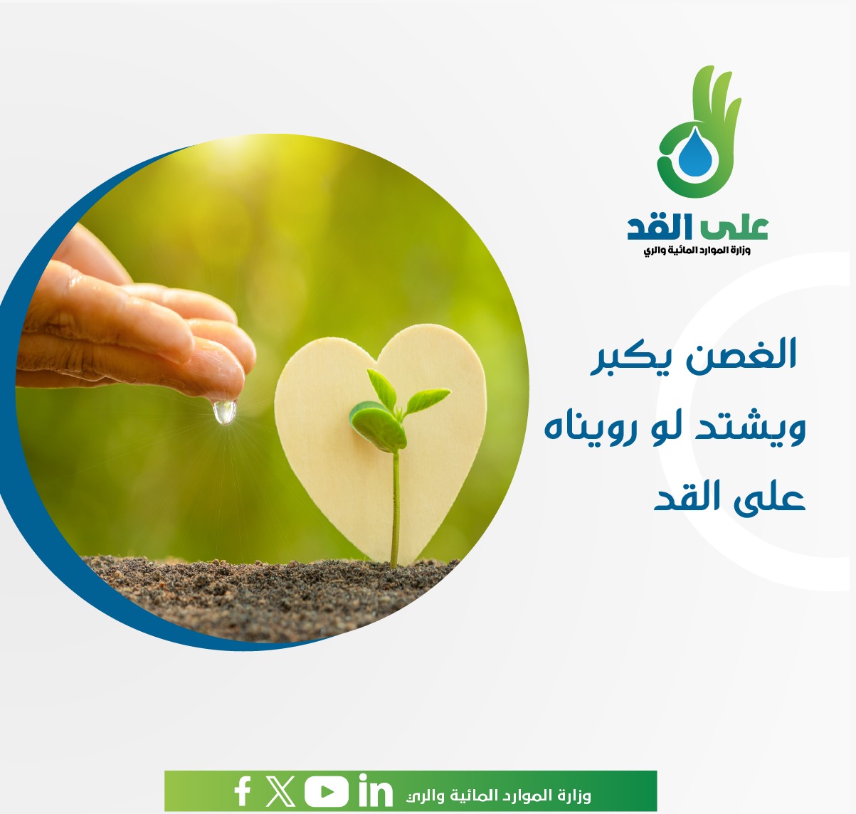 الرى