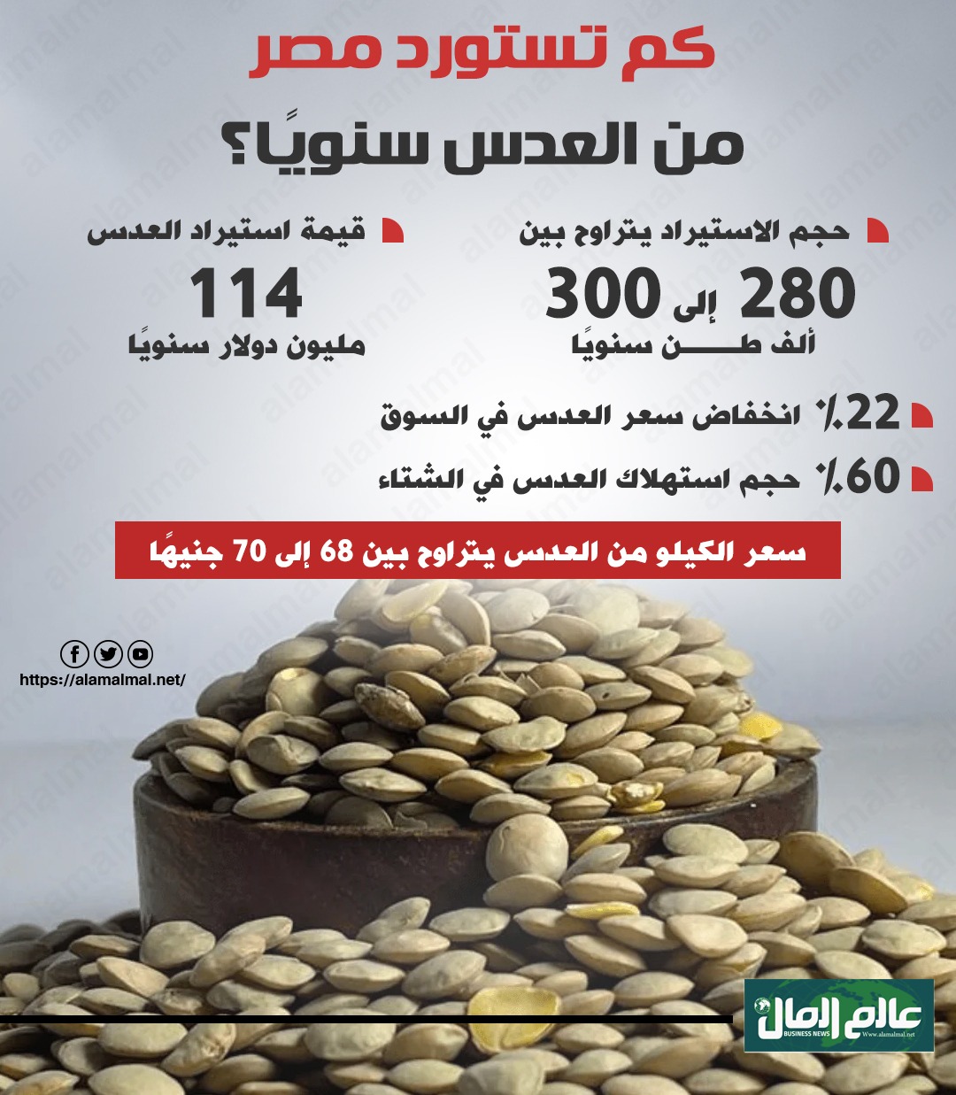 جراف يوضح كم تستورد مصر من العدس