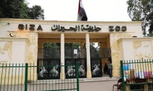 تطوير حديقة الحيوان المصرية