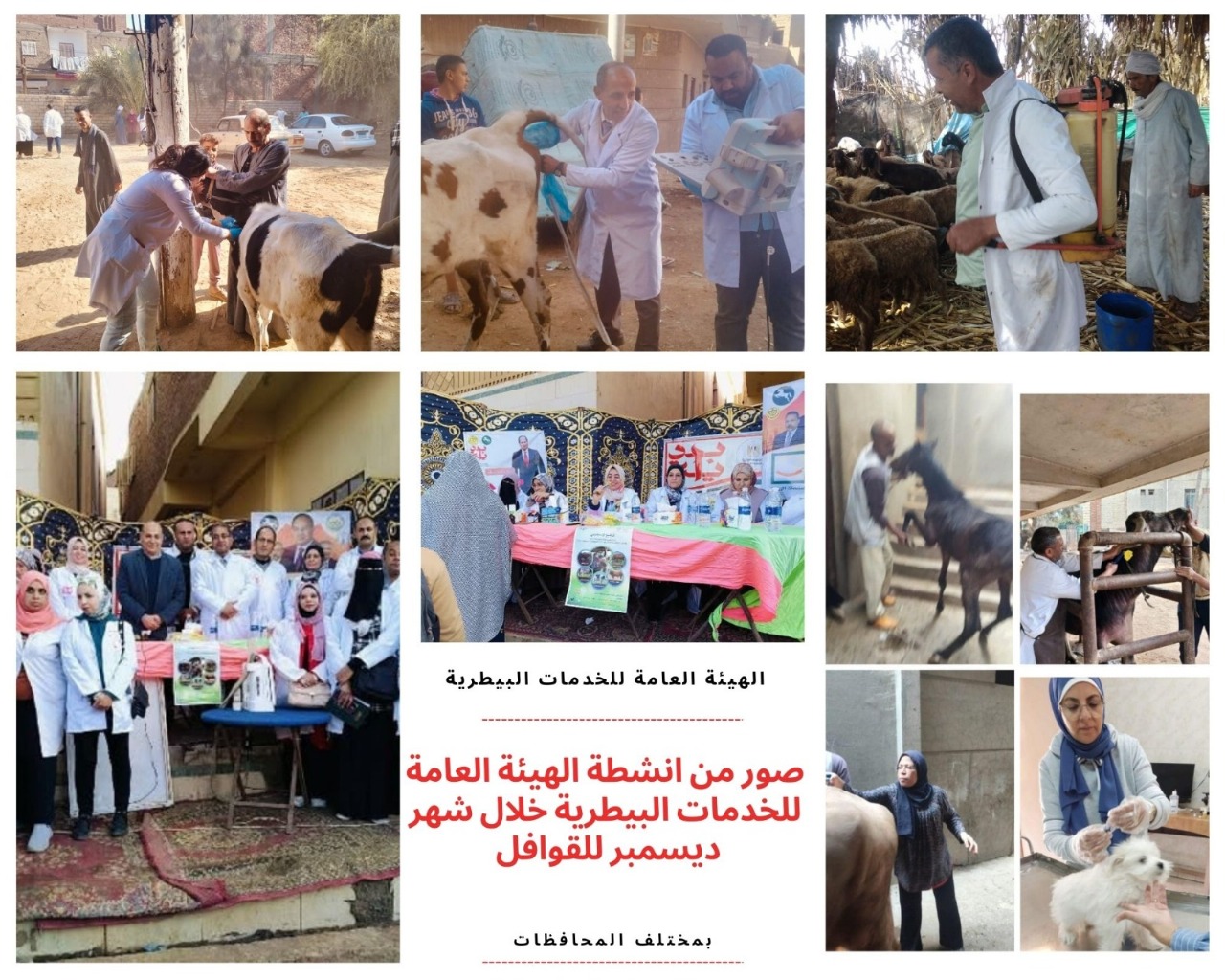 حصاد الخدمات البيطرية