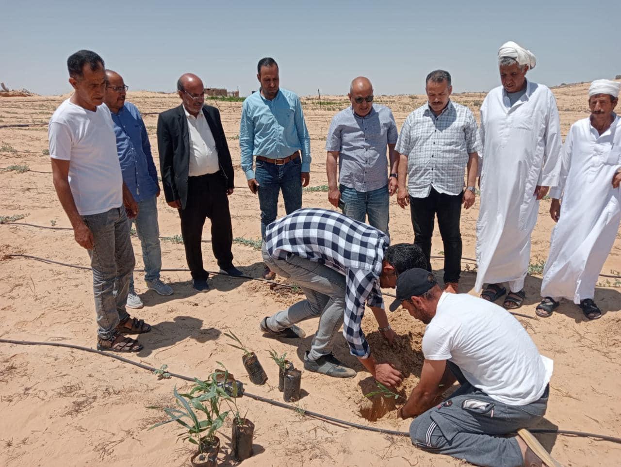حصاد مركز بحوث الصحراء 