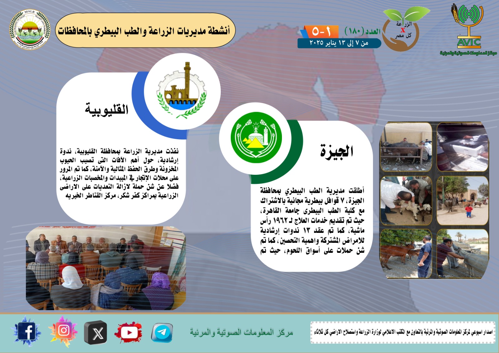 أنشطة الزراعة