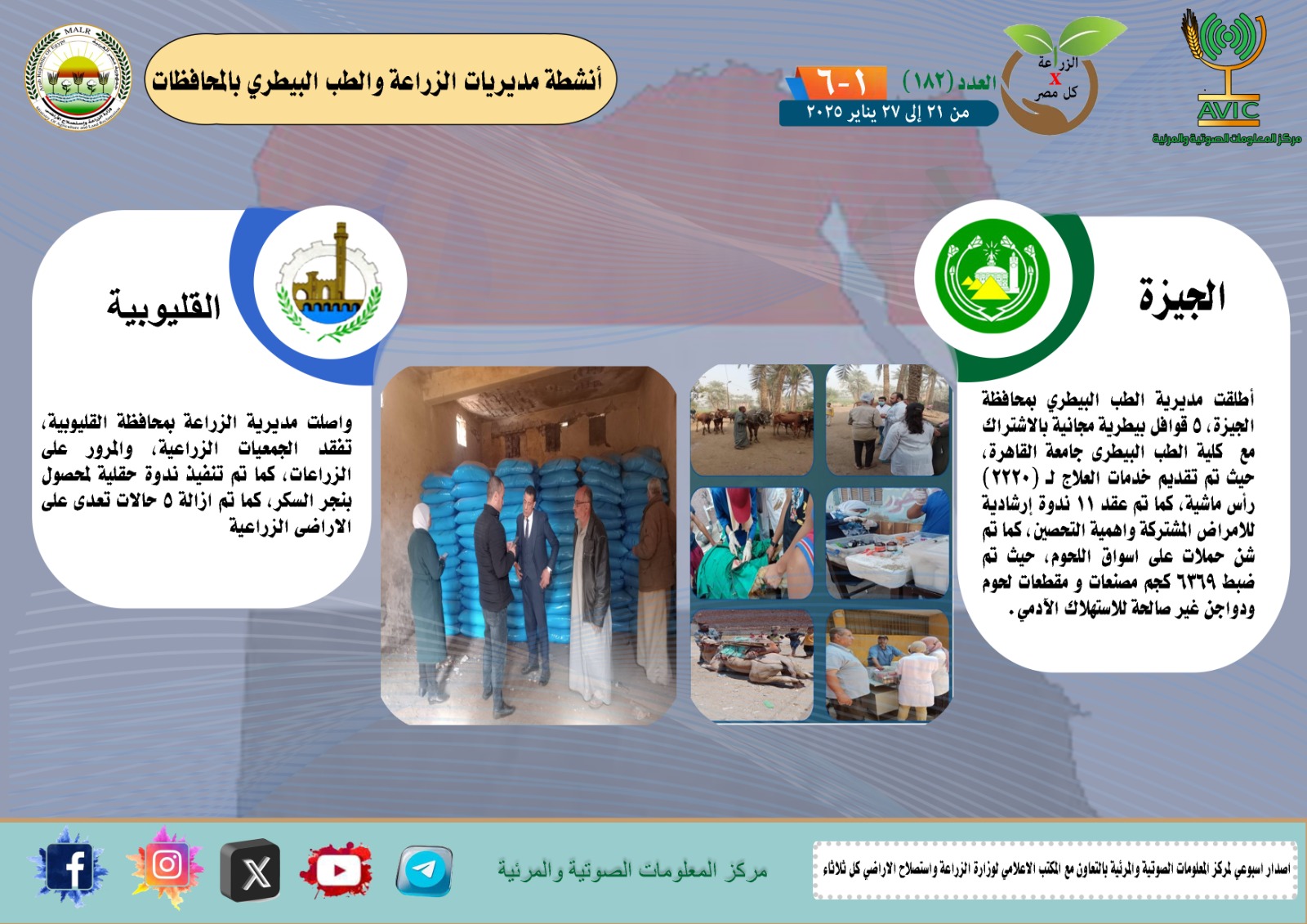 جهود مديريات الزراعة