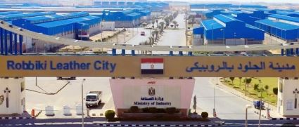 مدينة الروبيكى