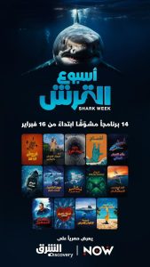 القرش