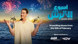 القرش 
