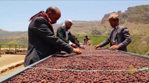 من الأكثر استهلاكاً وإنتاجاً وتصديراً لـ«القهوة»؟
