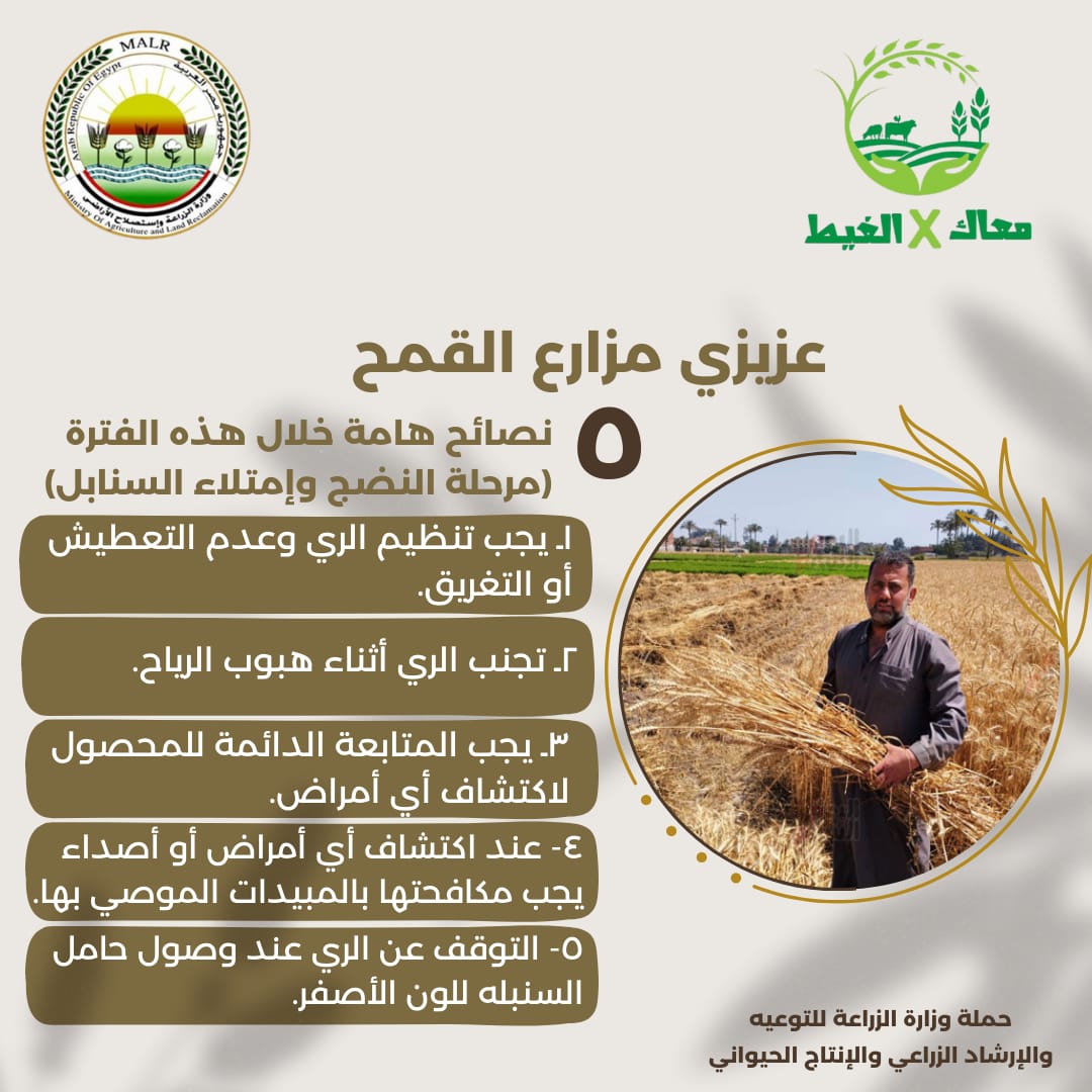 حملة معاك فى الغيط