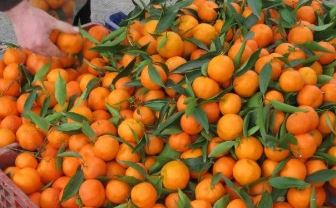 سوق العبور