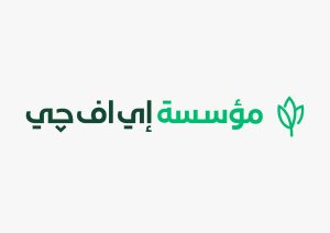 مؤسسة إي اف چي