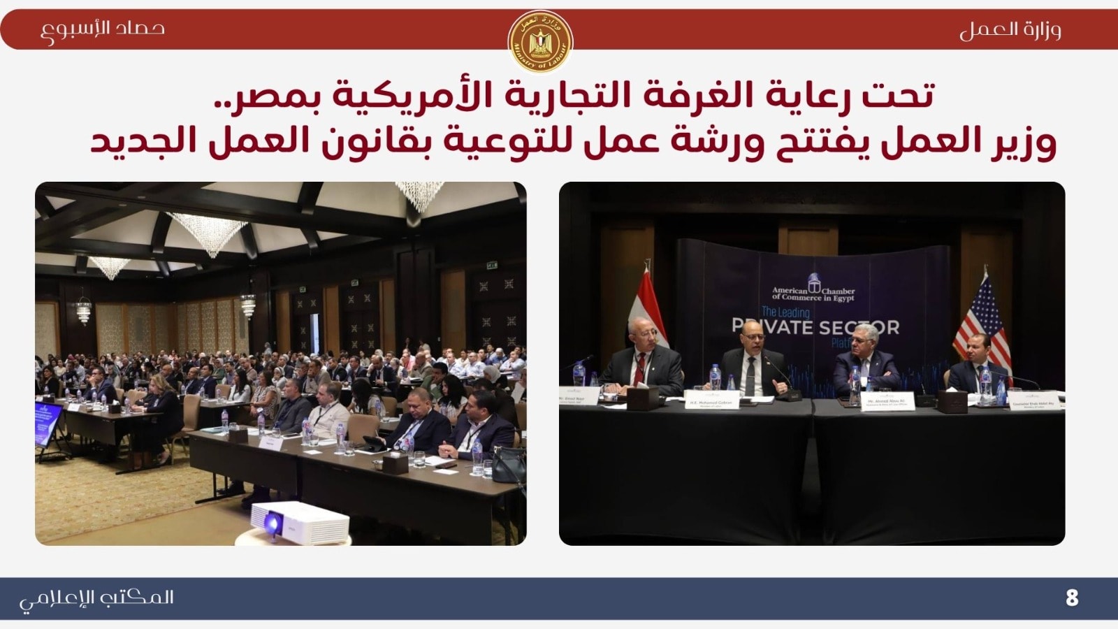 نشاط وزارة العمل 