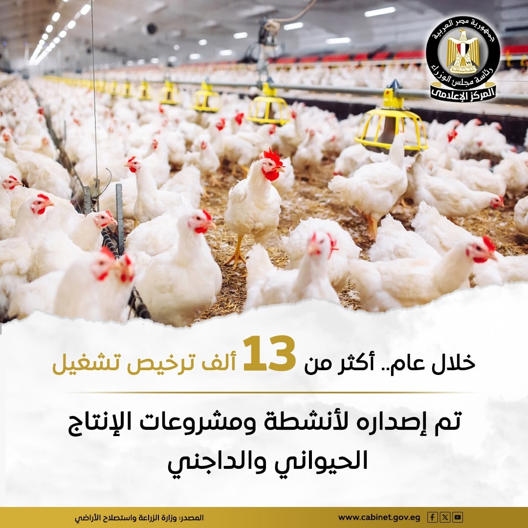 مشروعات الثروة الداجنة