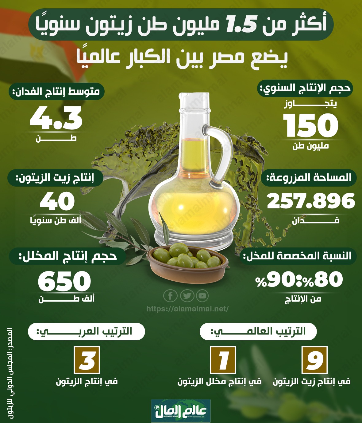 جراف يوضح انتاج مصر من الزيتون 