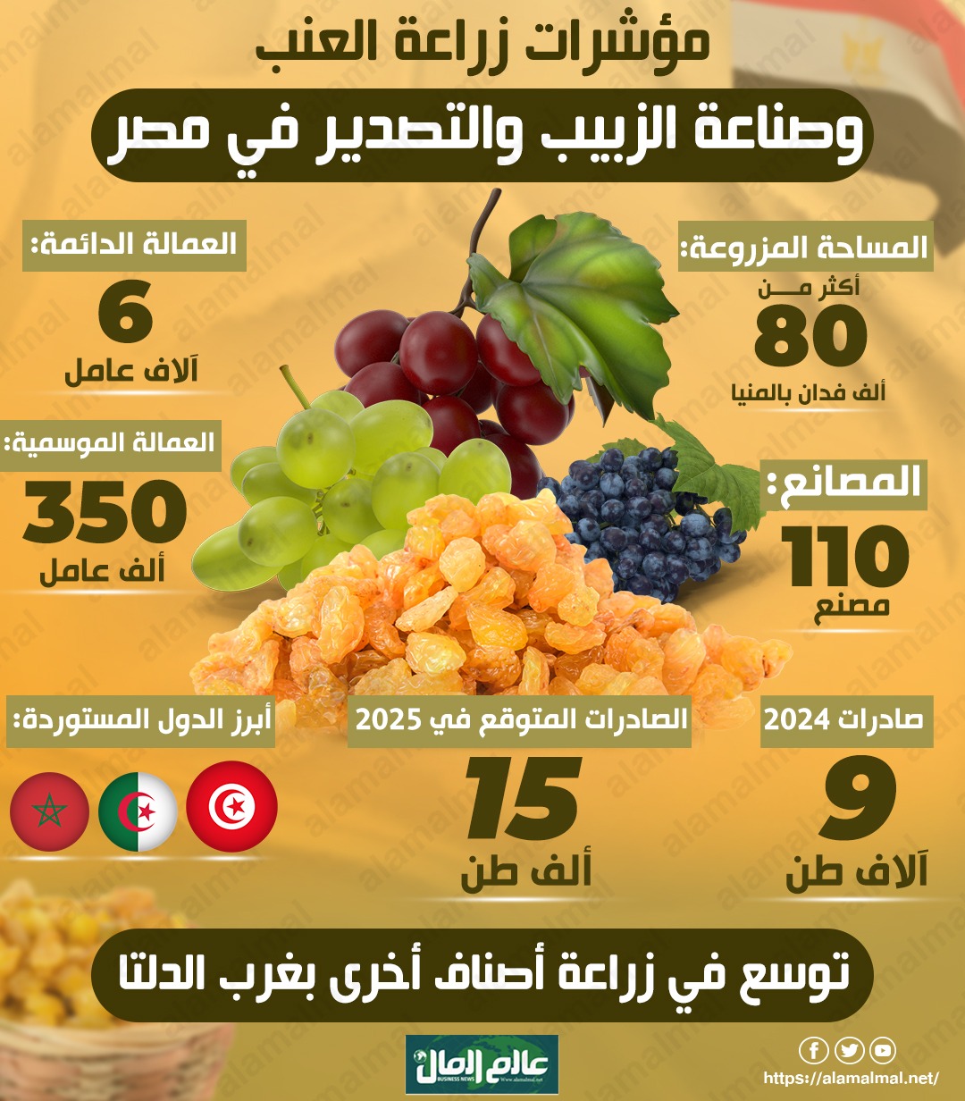 جراف يوضح مؤشرات وصناعة الزبيب فى مصر